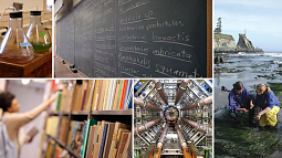 Collage of research photos