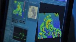 Computer screens in a lab