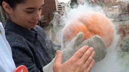 A chemistry students tosses a frozen pumpkin off Lillis in the name of science.
