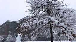 A person builds a snowman under a tree on campus 02.25.19