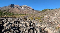 South Sister