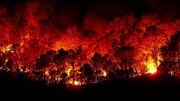 Recent wildfire in the American West 