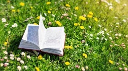 Open book in wildflower field