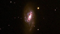 Image of the supernova taken with a telescope at Pine Mountain Observatory