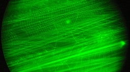 Image shows a magnified mucous screen