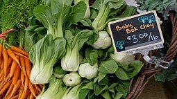 Farmer's market