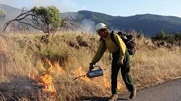 Lighting a prescribed fire