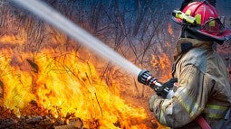 Wildland firefigher