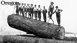 men on log