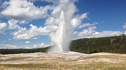 An erupting geyser at Yellowstone National Park