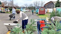 Students planting trees