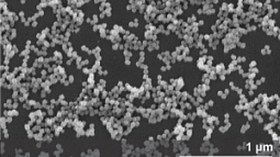 Nanocrystals viewed through a scanning electron microscpe