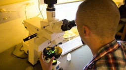 Researcher looking through microscope