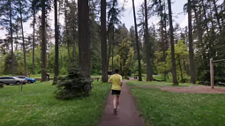 Runner on trail