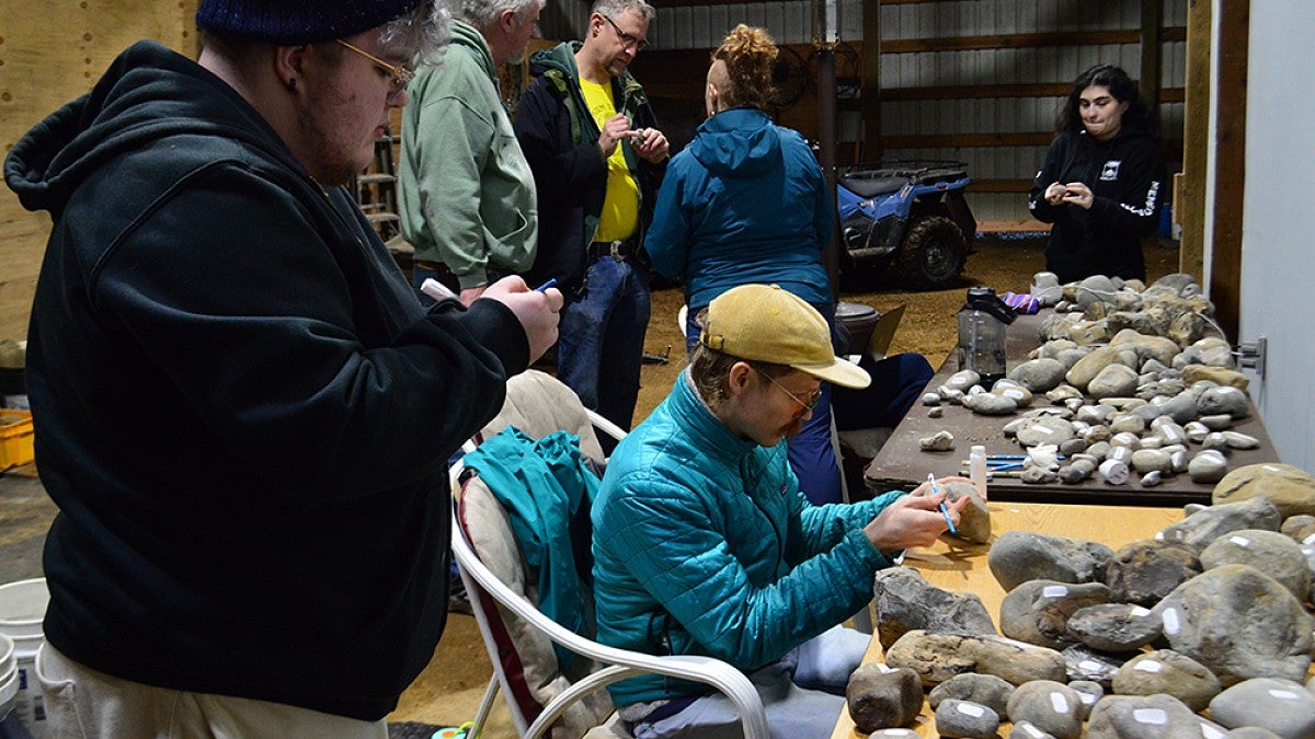 Fossils are sorted and identified