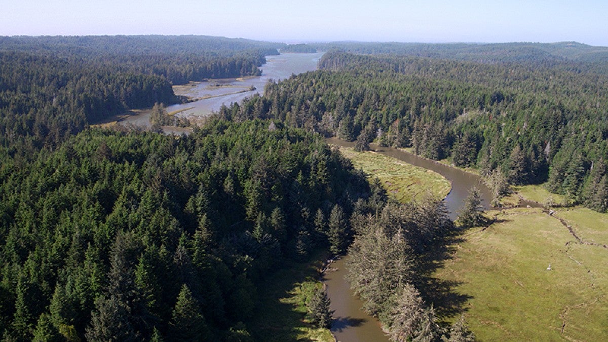 A portion of the Coos Bay estuary