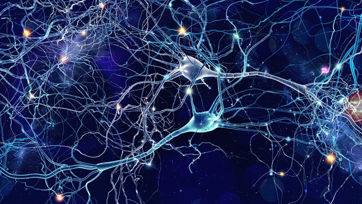 Illustration of neurons