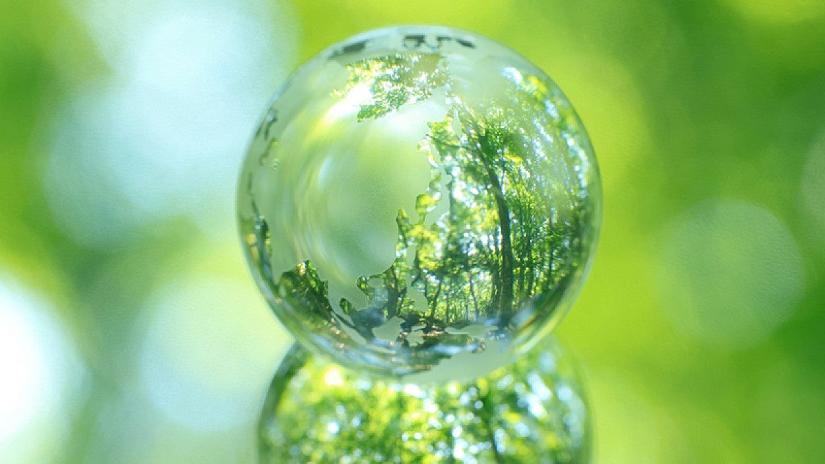 Raindrop reflecting a forest scene