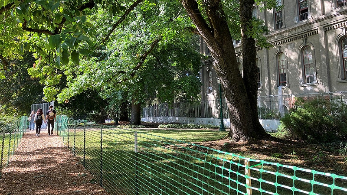 Temporary paths around Villard and University halls