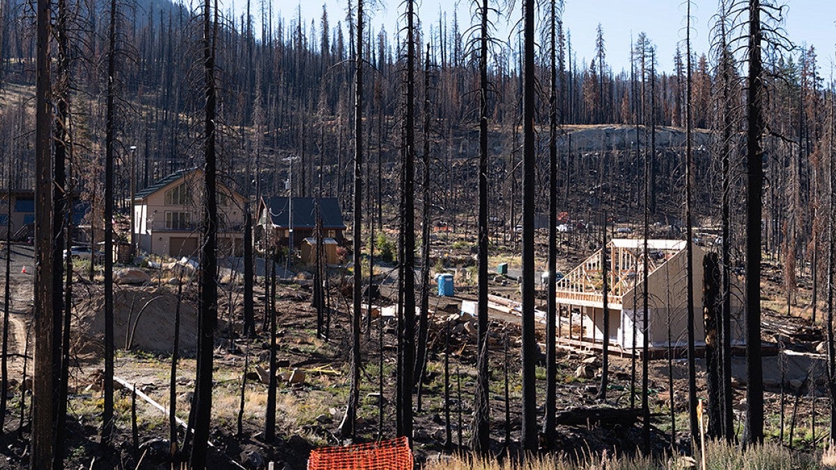 Homes being rebuilt following a wildfire