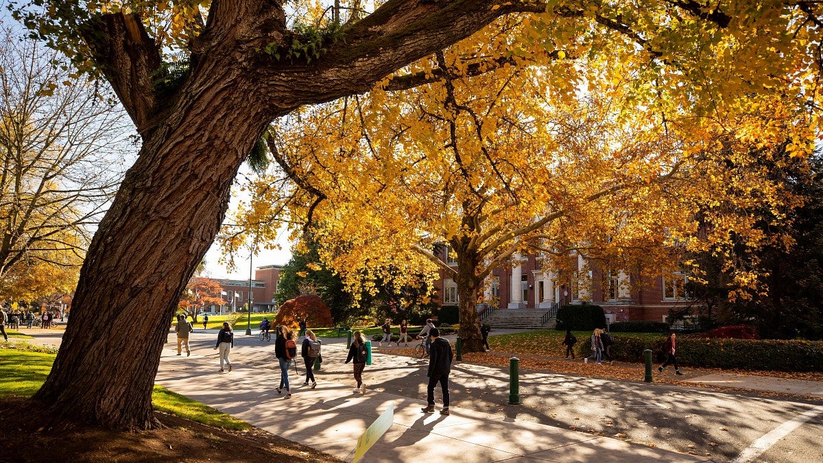 fall landscape with a tree trunk in the foreground and people walking on the sidewalk along thirteen street through the Eugene campus