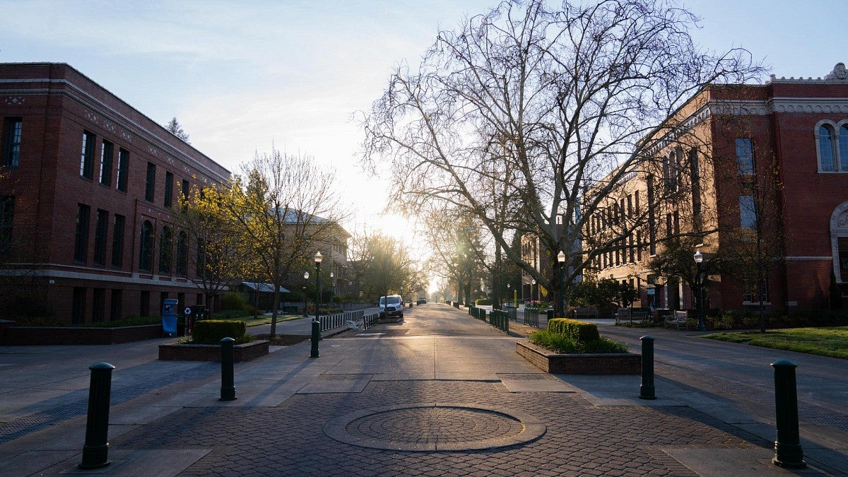 Main road through campus with the sun rising on the horizon