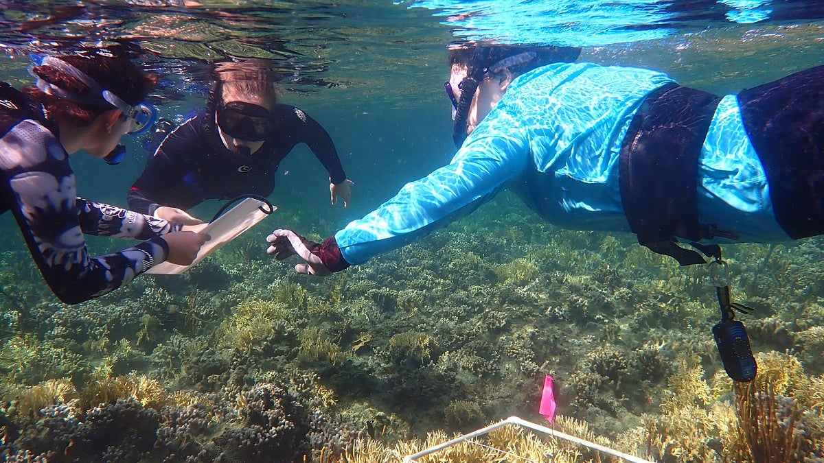 Students gathering near-shore data along the coast of Panama