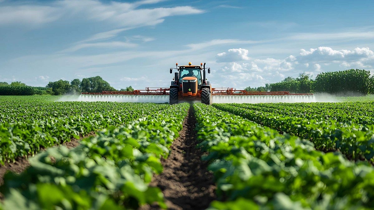 Tractor spraying rows of crops