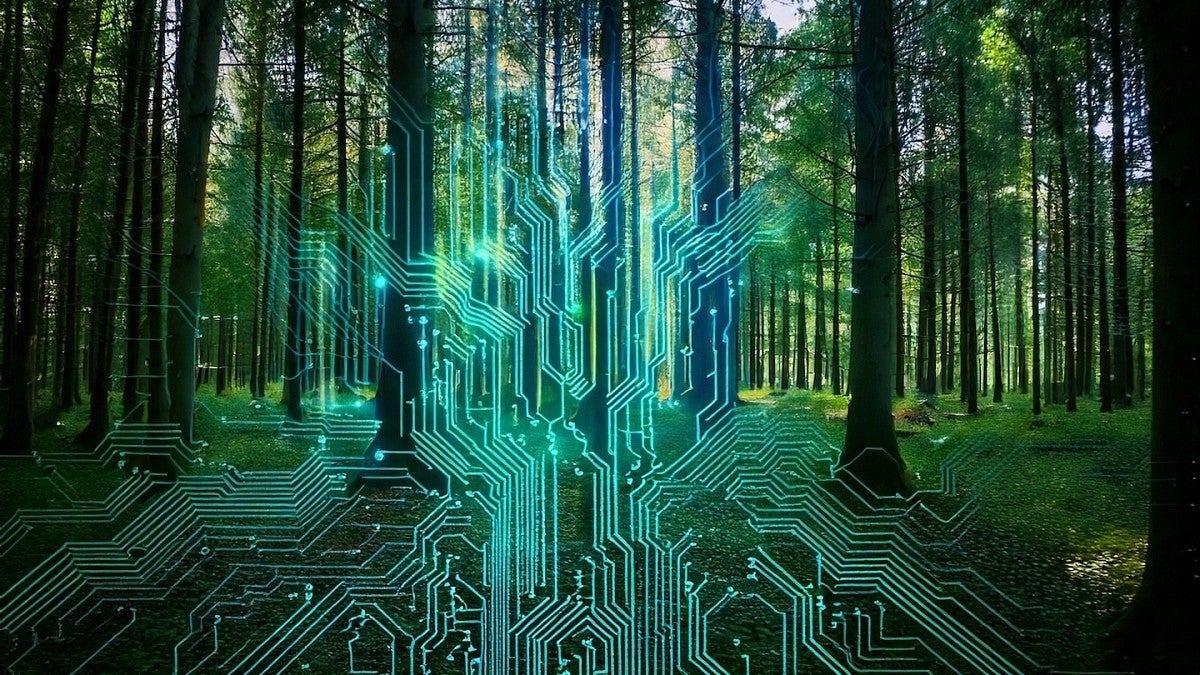 circuitboard over forest trees