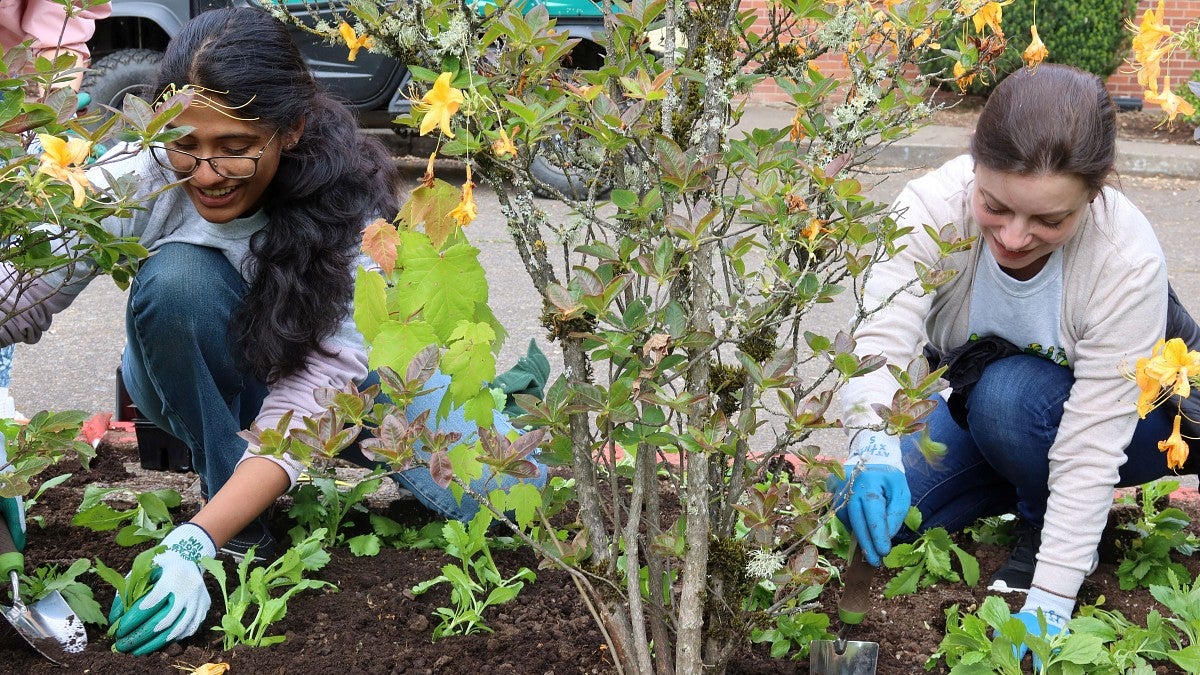 Two employees on hands and knees plant flowers