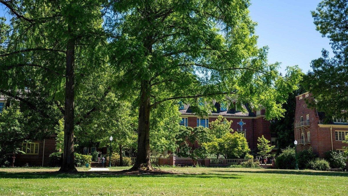 women's quad on a summer day