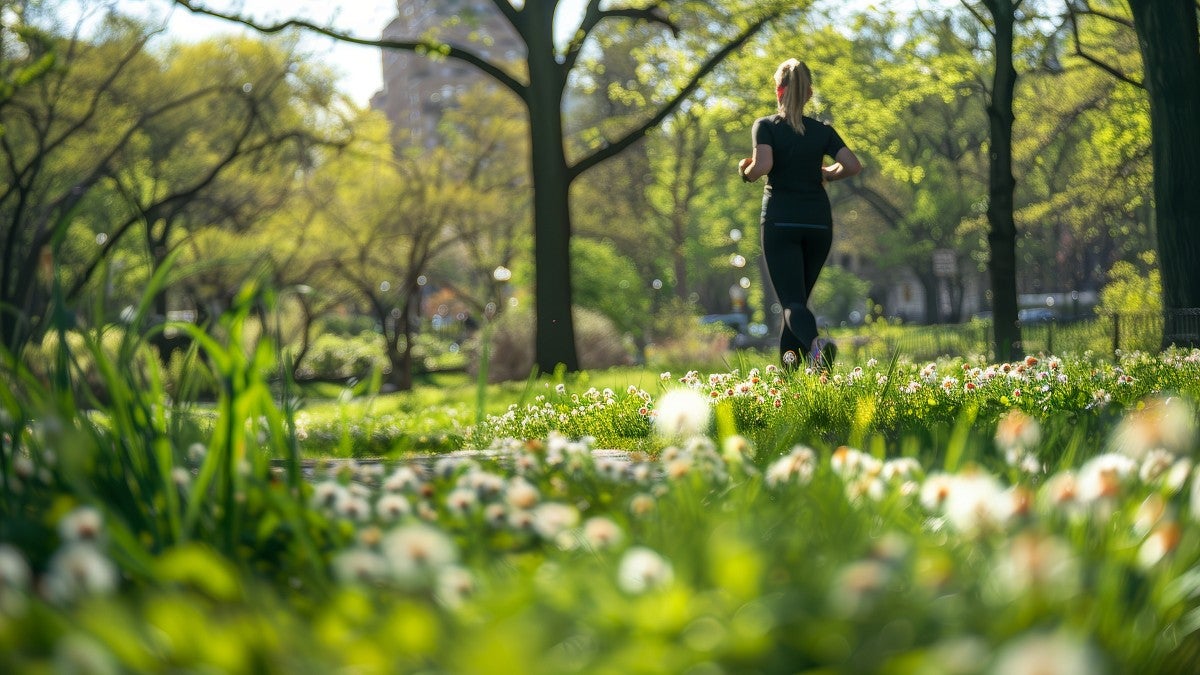 A runner passing through a field with pollen-bearing flower heads