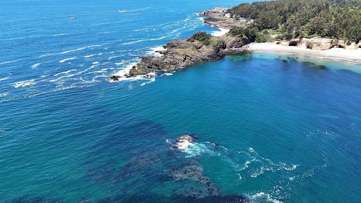 Aerial view of Otter Rock Marine Reserve