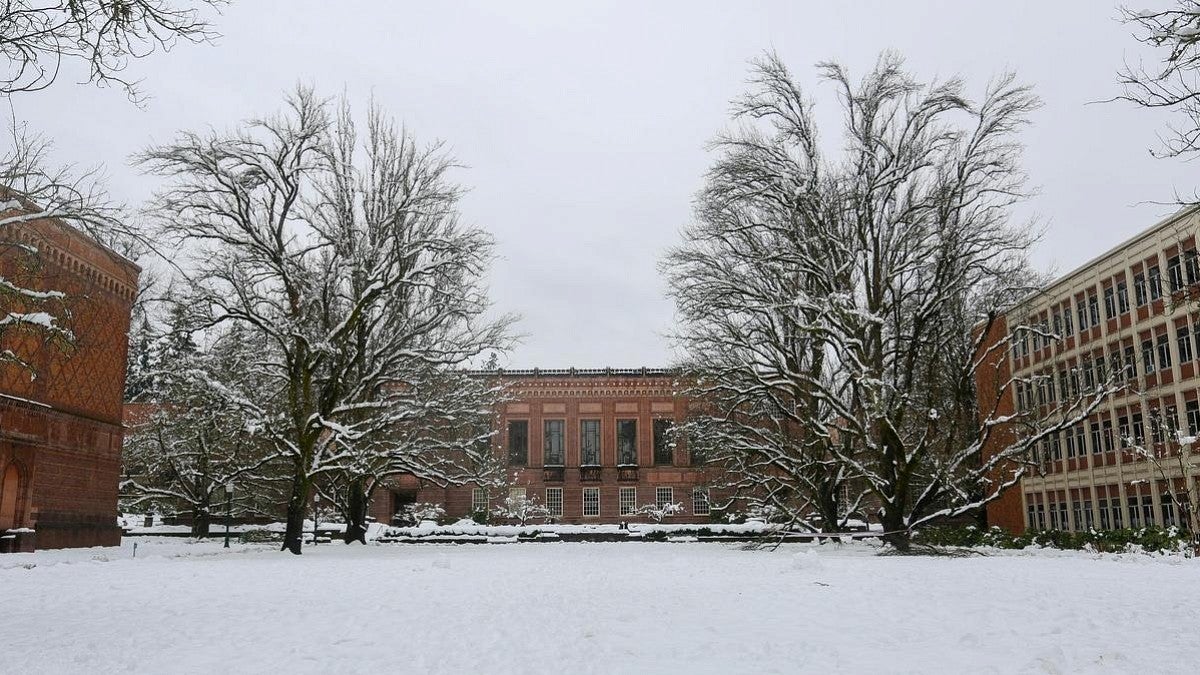 Memorial Quad in winter snow