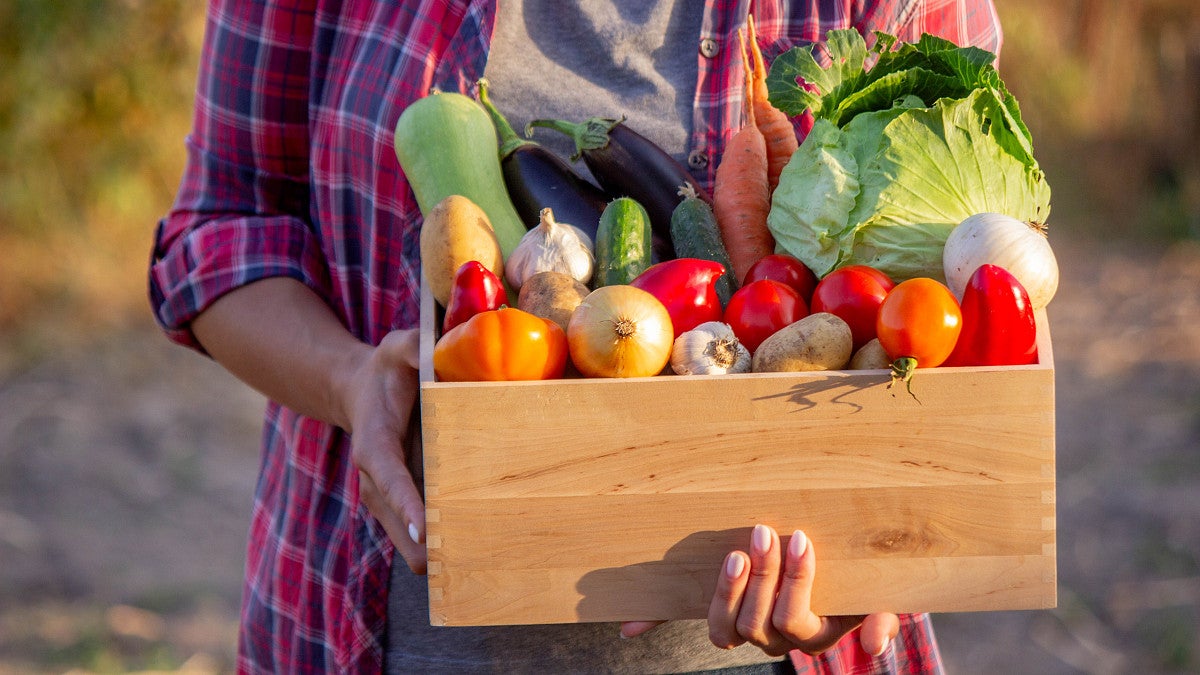 Person holding a crate filled with fresh vegetables