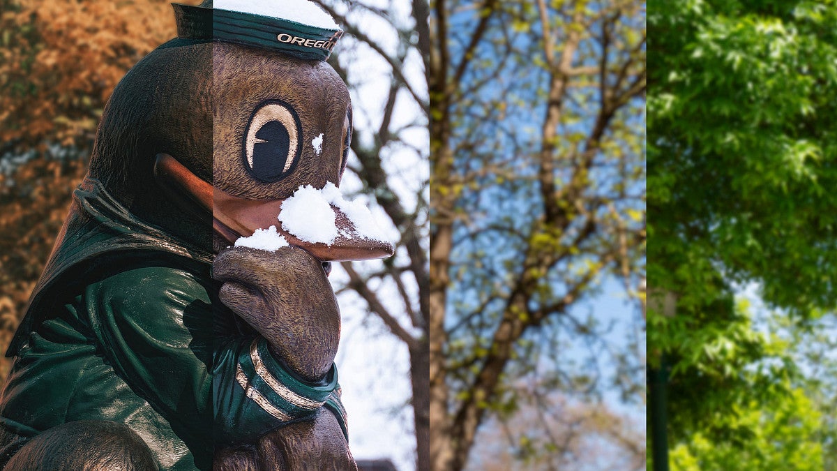 The Duck statue seen in four seasons