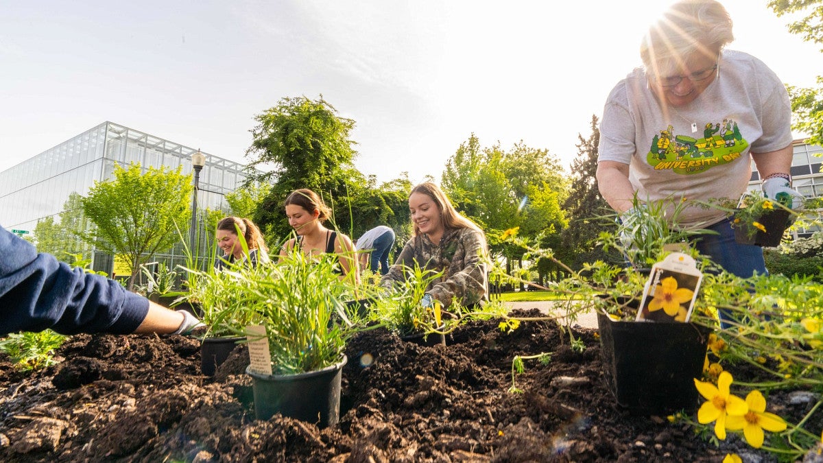 planting flowers on University Day