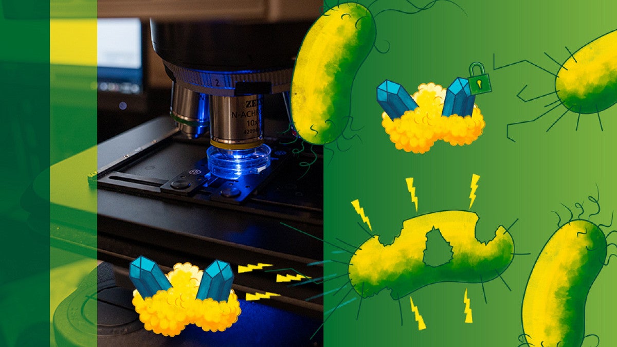 A microscope with a blue light shines on a small dish. Illustrated elements, including yellow-green bacteria and yellow proteins against green-yellow color bands, surround the scene.