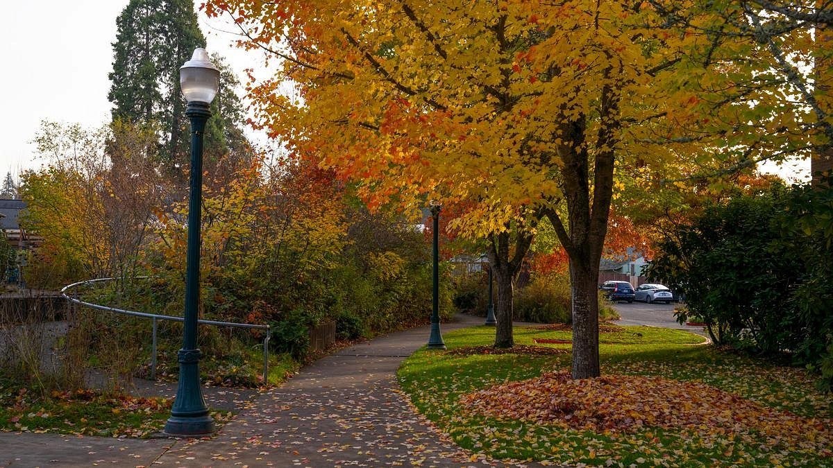 campus sidewalk in fall