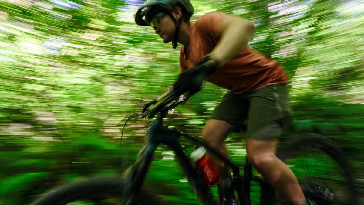 Mountain biker speeding past trees