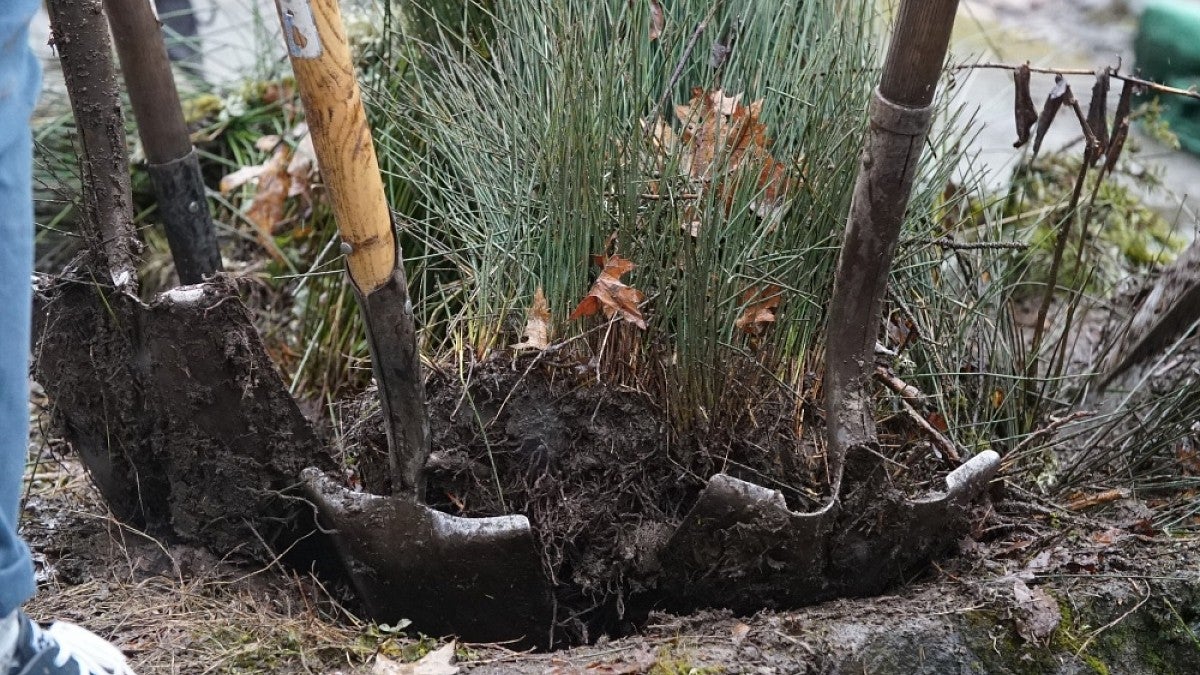 Shovels digging into earth