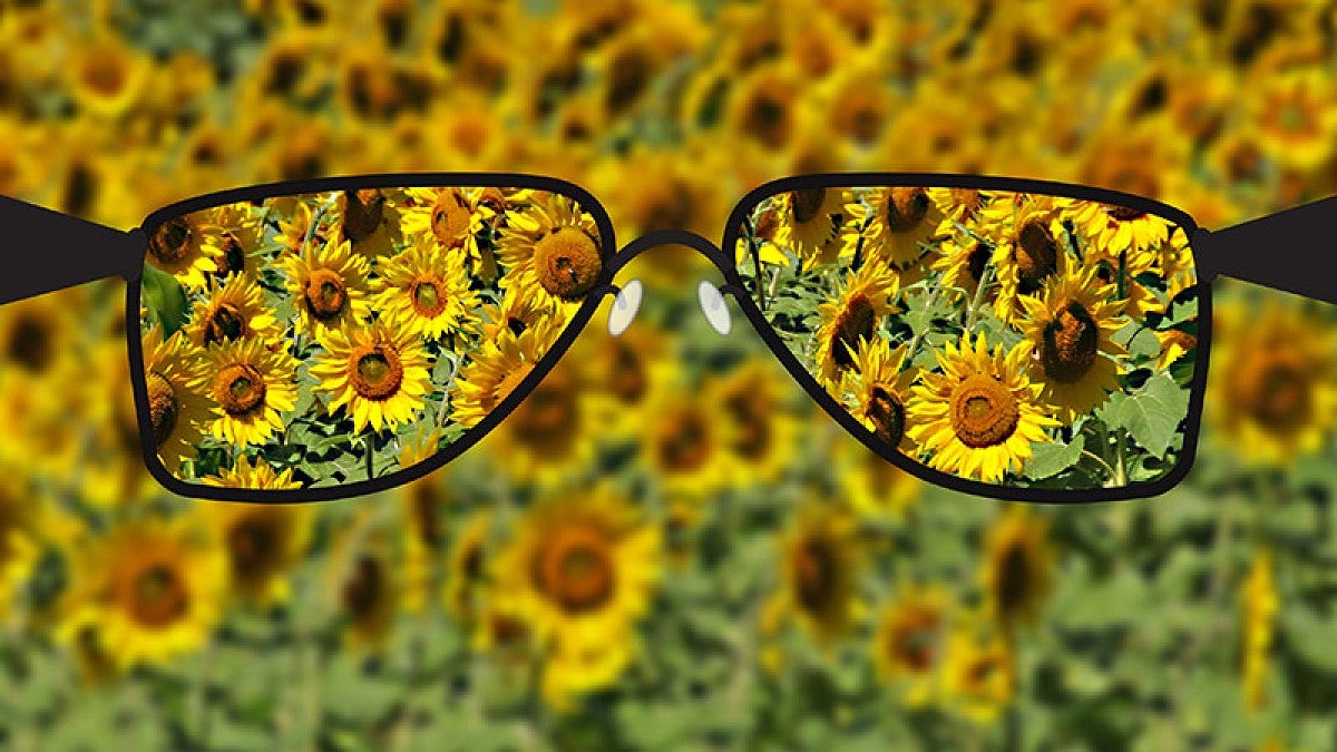 Glasses bringing flowers into focus