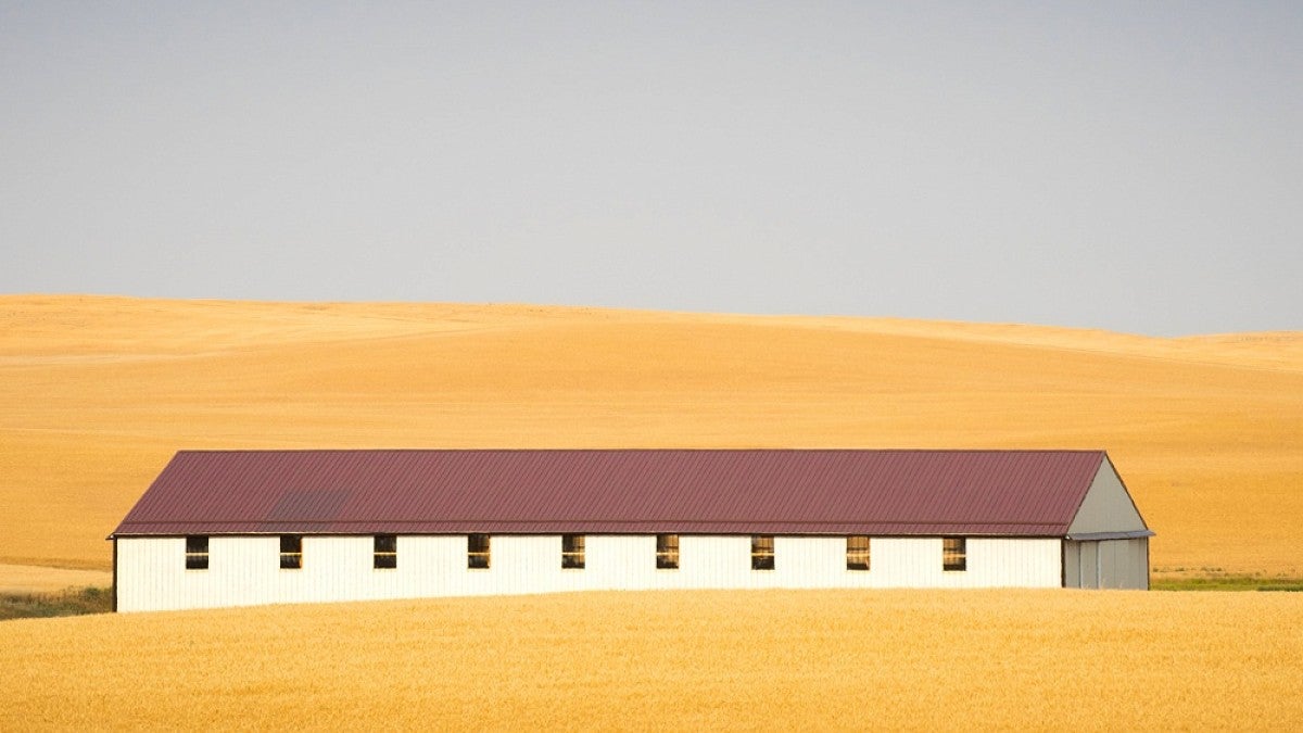 Photo of barn