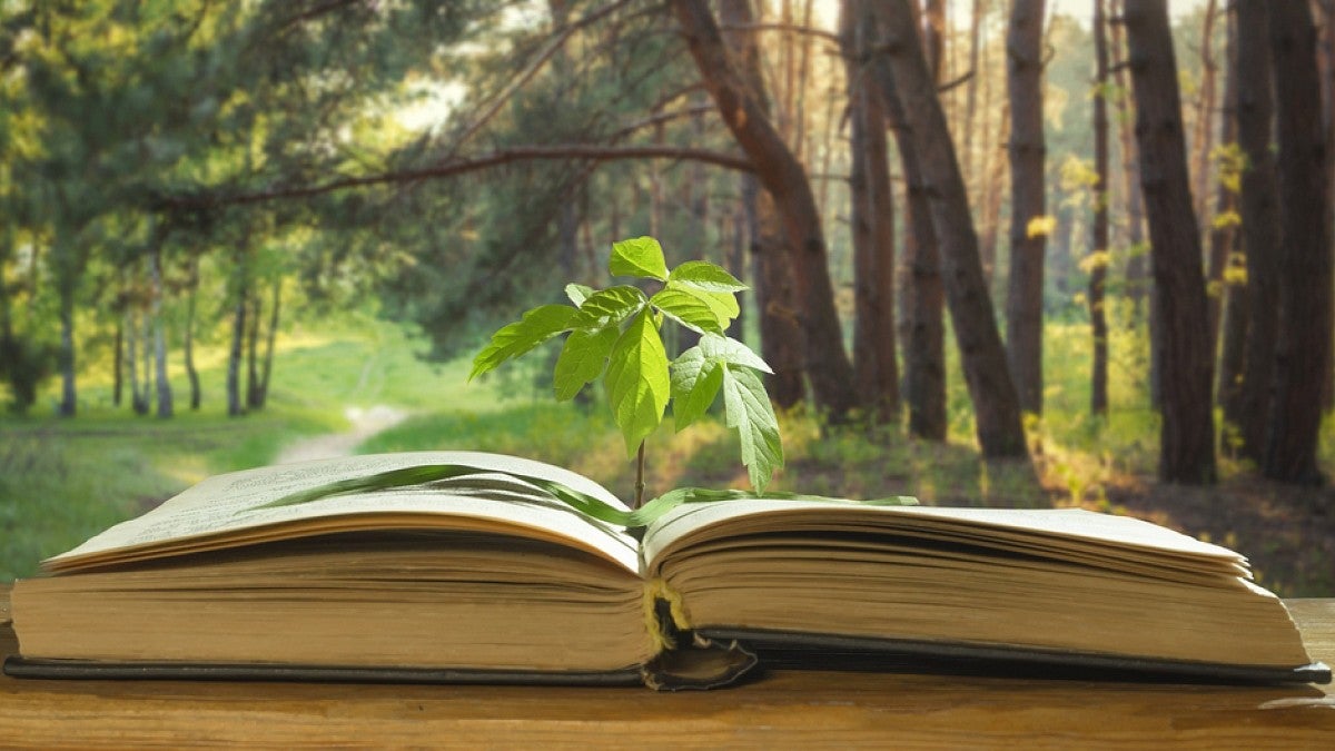 New grant bolsters UO center for environmental humanities | OregonNews