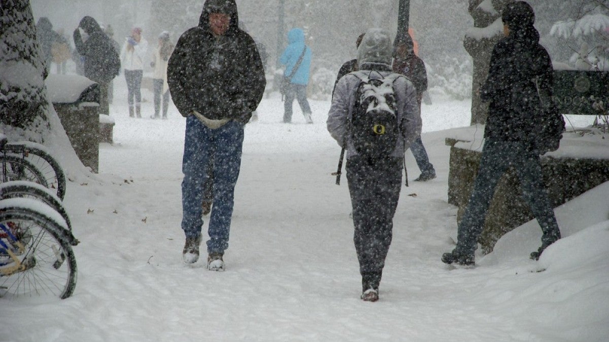 A snowstorm in December 2013