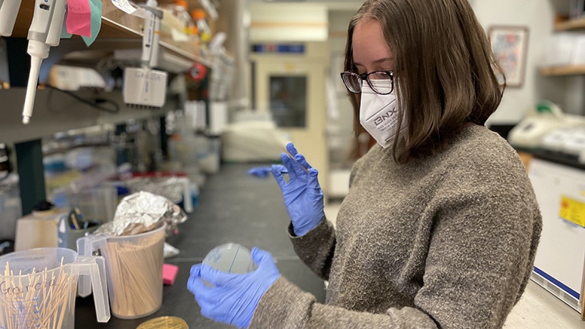 Biology student doing experiments in lab