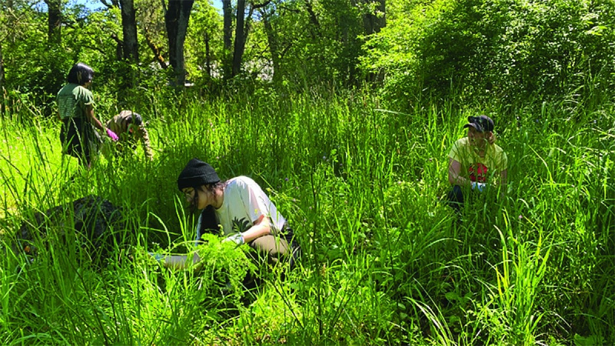 Students working at Mount Pisgah