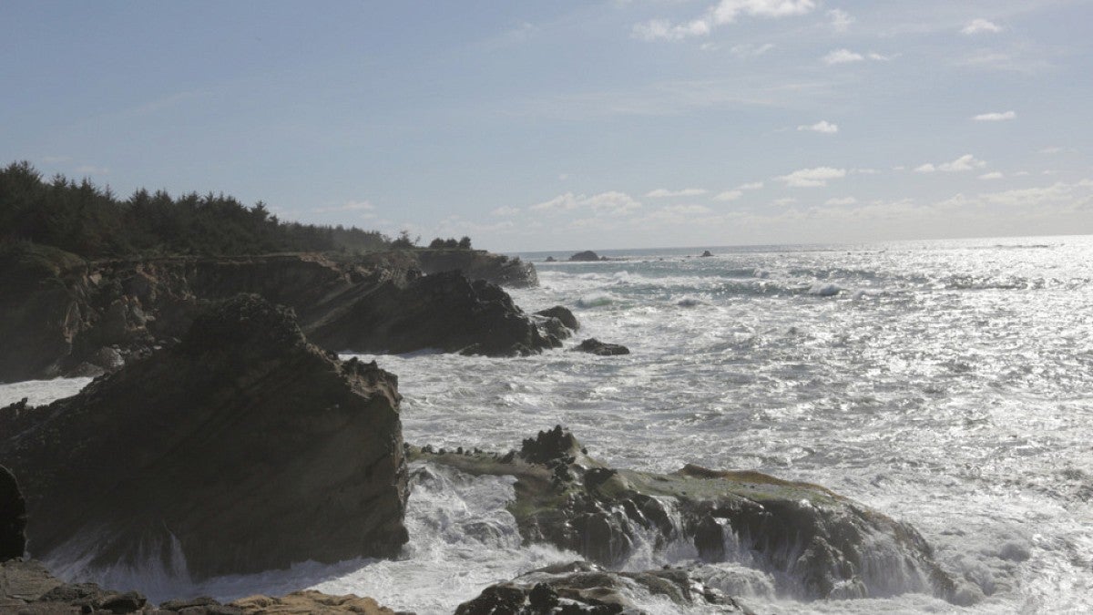 Oregon Coast