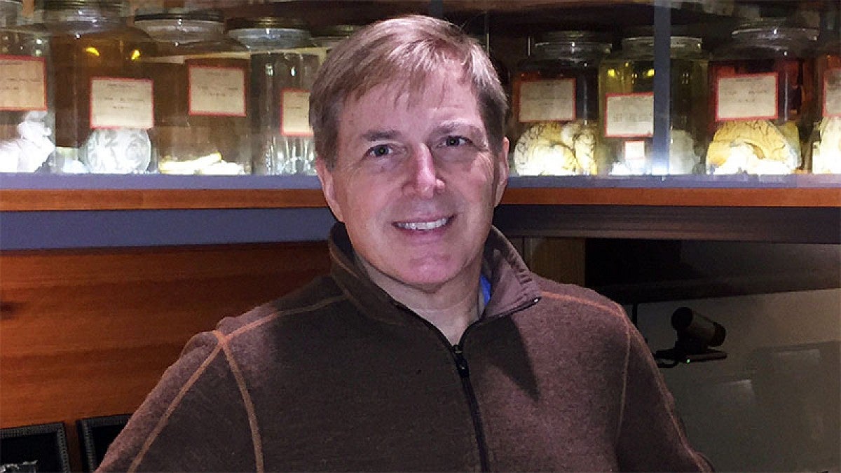 David McCormick