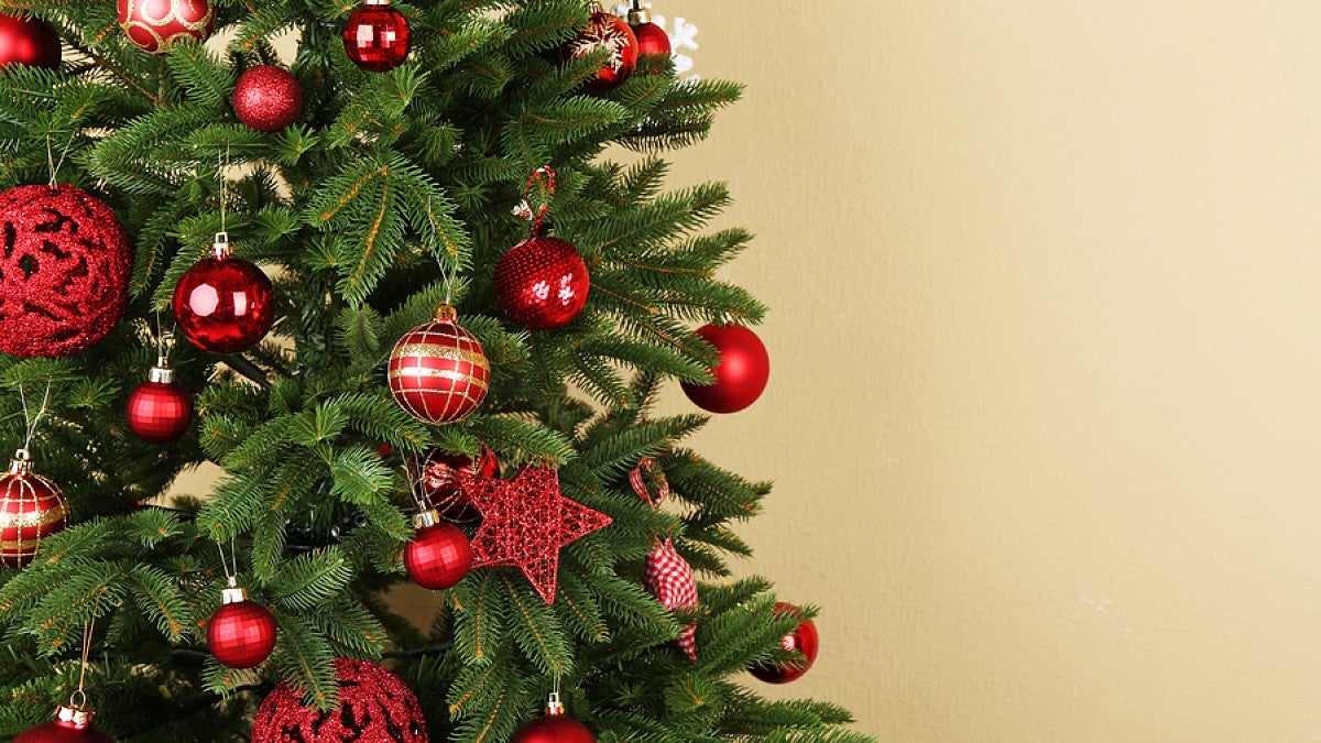 Decorated Christmas tree